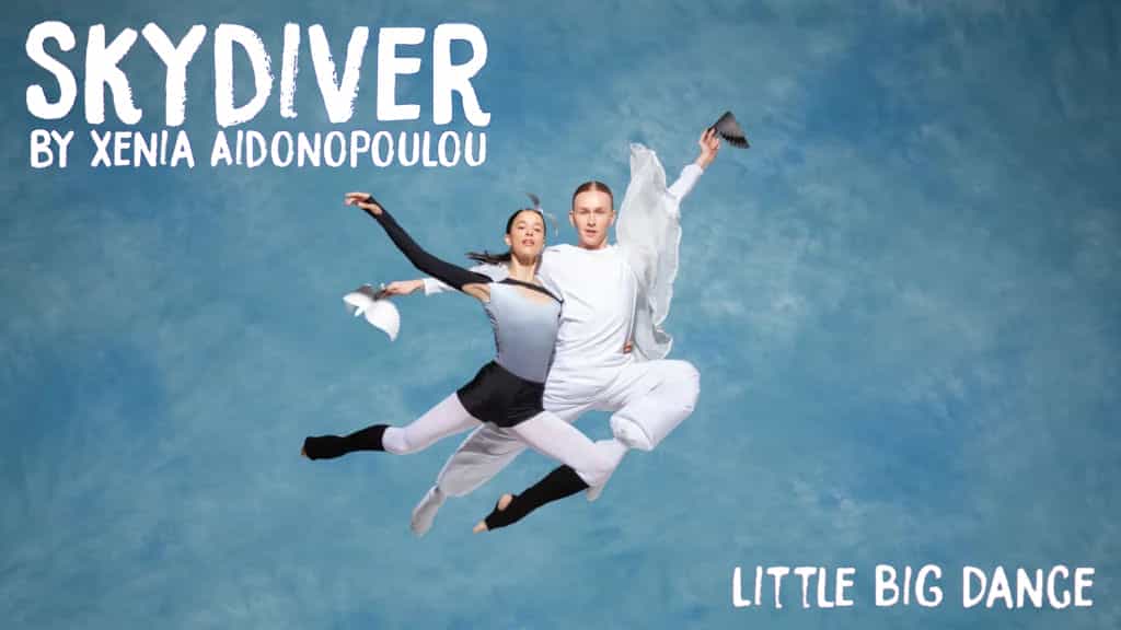 Little Big Dance - Skydiver