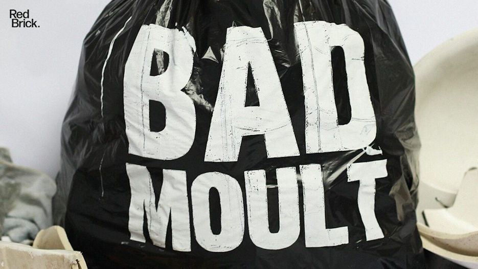 Bad Moult 
