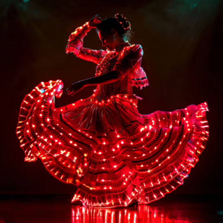 We Call it Flamenco - A Dazzling Dance & Light Show