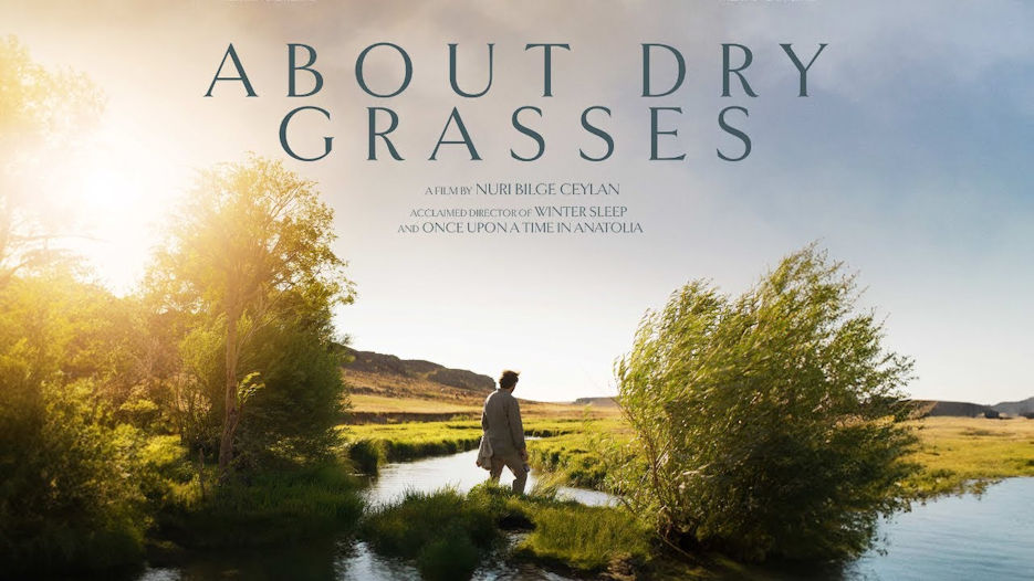 About Dry Grasses (15)