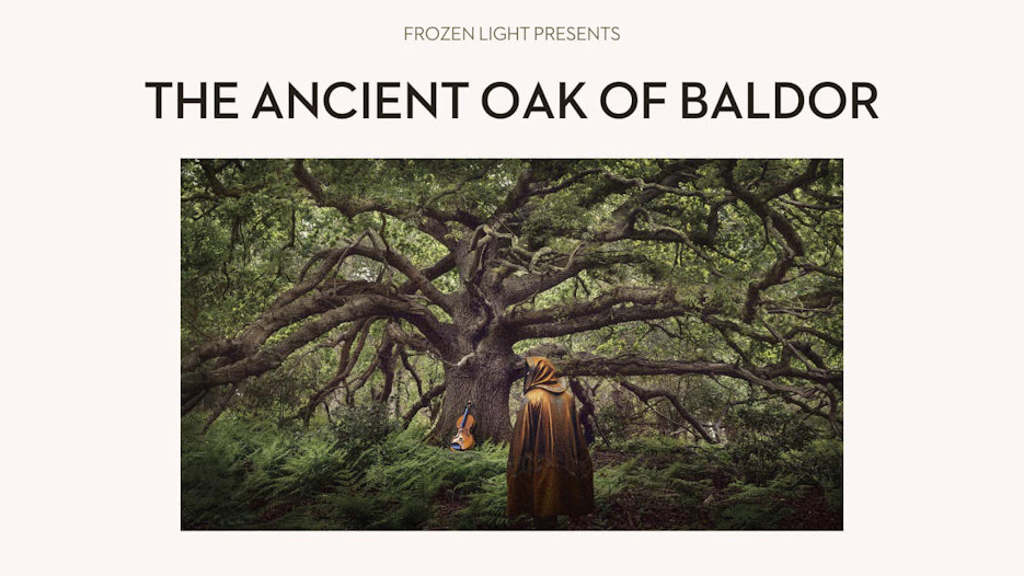 Frozen Light - The Ancient Oak of Baldor