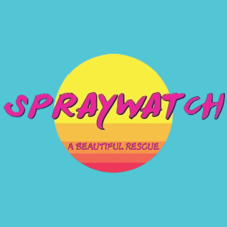 Spraywatch! - A Beautiful Rescue