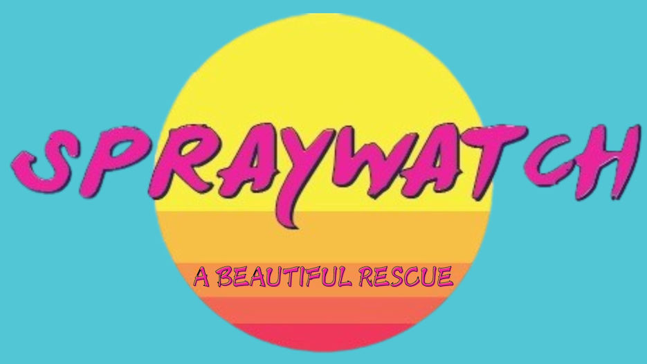 Spraywatch! - A Beautiful Rescue