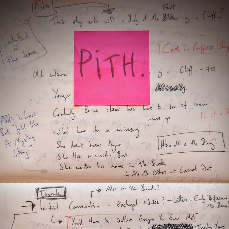 Pith by Daniel Kitson