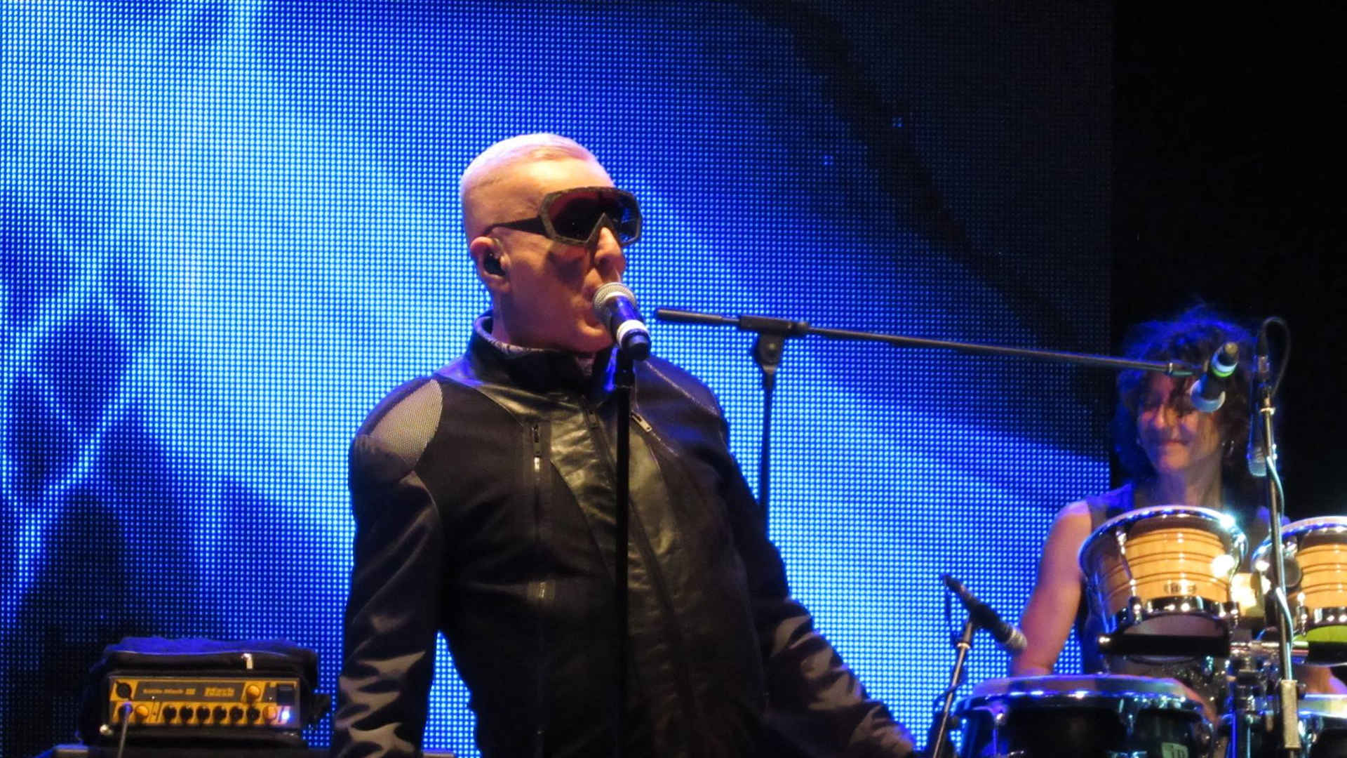 Holly Johnson