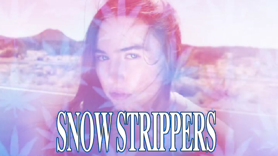 Snow Strippers