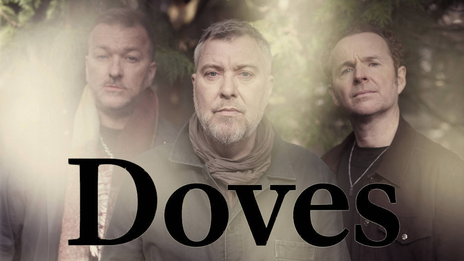 Doves