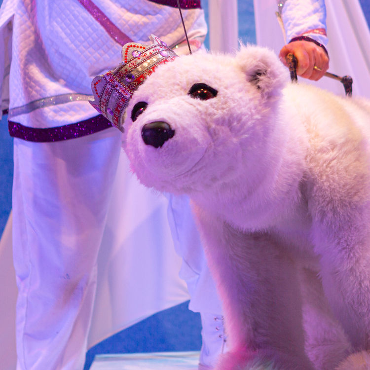 The King's Polar Bear