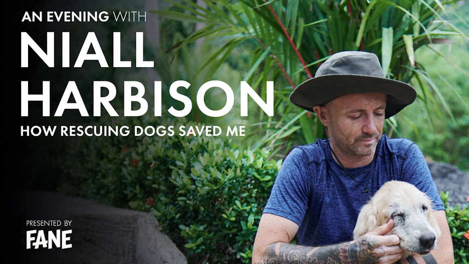 An Evening With Niall Harbison - How Rescuing Dogs Saved Me